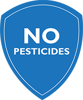 No Pesticides