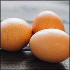 pastured-eggs-1